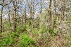 Export-Photos-5147